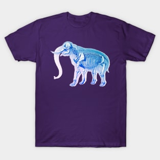 Elephant X-Ray Skeleton T-Shirt